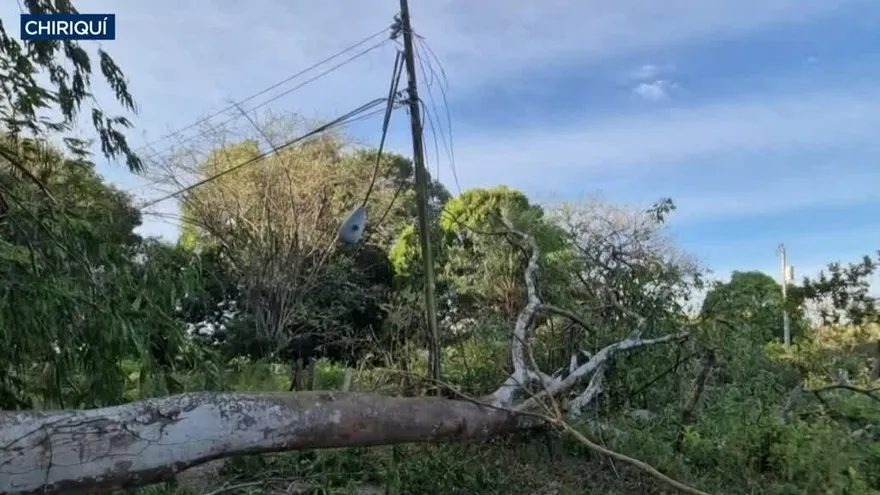 Fuertes vientos en Chiriquí causan daños en techos y tendido eléctrico