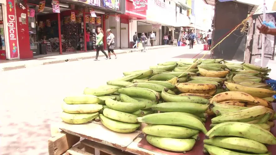 Plátanos de contrabando: Un peligro para la salud de los panameños