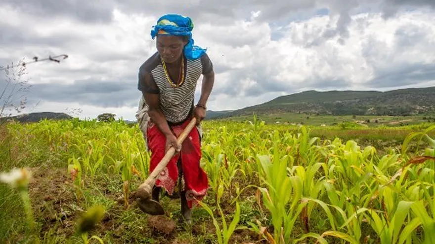 Una mujer en Angola realiza trabajos en sus cultivos