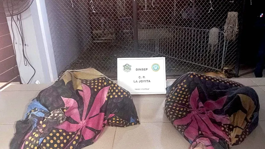 Aprehenden a ciudadano que intentó ingresar artículos prohibidos a La Joyita