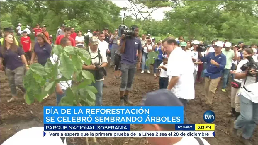 Panameños se unen al Día Nacional de Reforestación