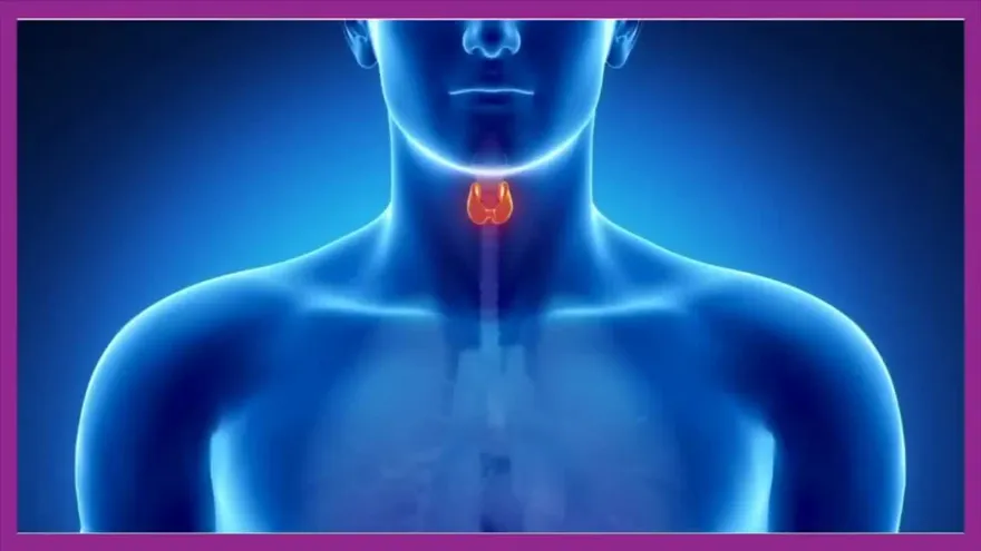 ¿Cómo detectar una enfermedad a causa de las tiroides?