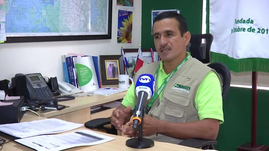 Joel Pittí - Anati de Colón