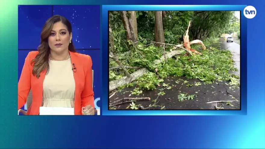 Fuertes vientos provocan destrozos en Capira