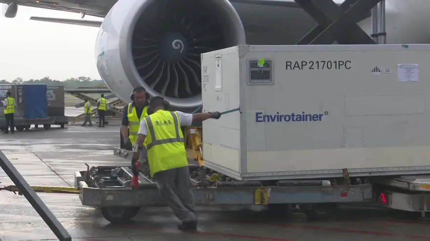 Dos millones de vacuna contra la gripe