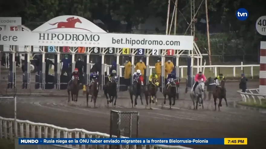 Hípica, entre la gloria y los riesgos