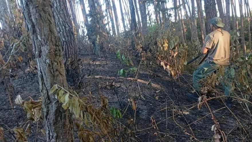 Incendio fue controlado.