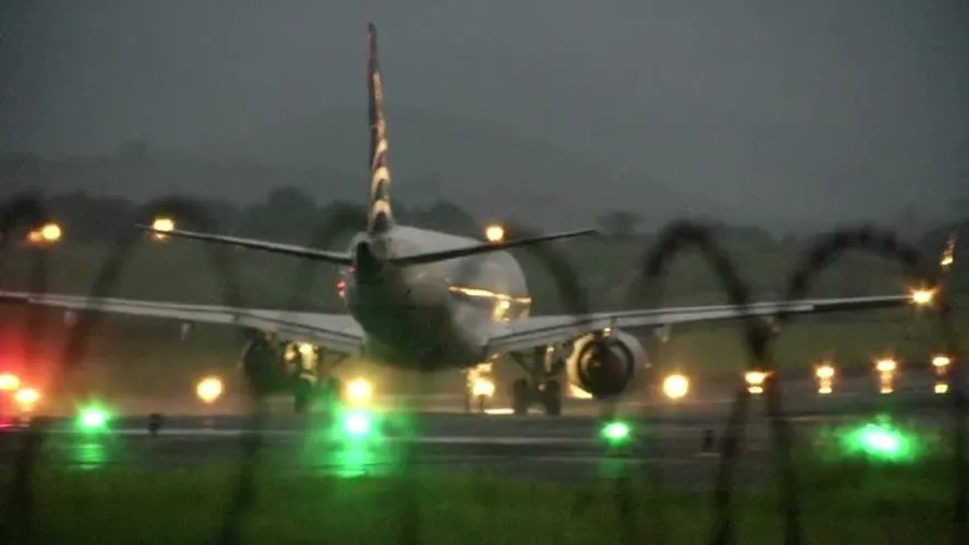 Panamá con más accidentes aéreos causados por aves