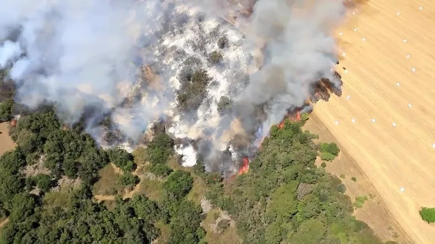 Incendios forestales destruyen 60 casas en chilena Valparaíso