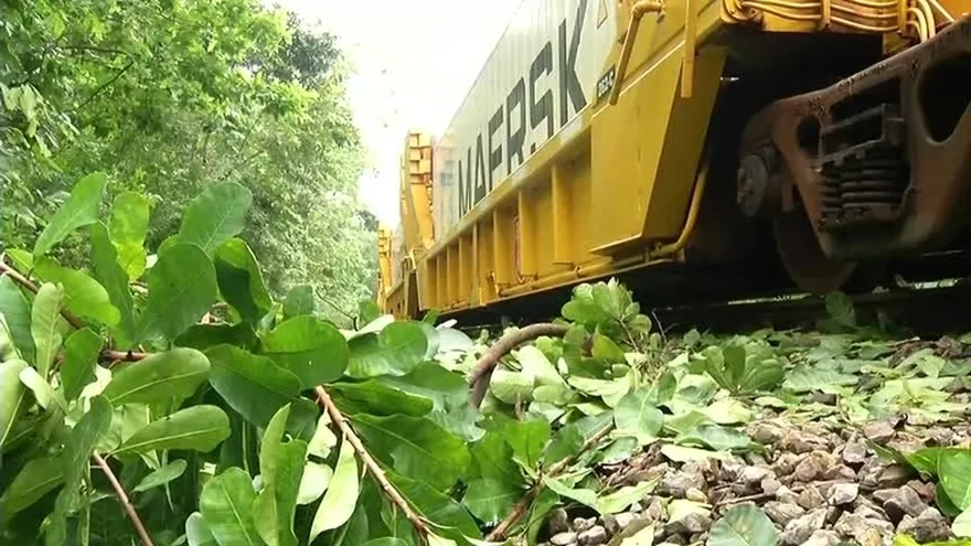 Mal tiempo paralizó tránsito de carga en Paraíso