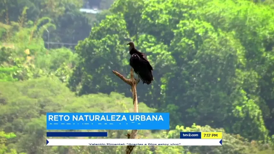 Reto Naturaleza Urbana se realiza por cuarto año consecutivo