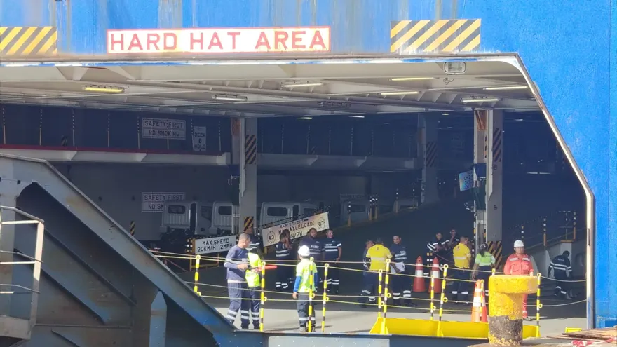 La Dirección Ejecutiva de Cuarentena Agropecuaria del MIDA es la encargada de supervisar la descarga de vehículos y mercancías en el Puerto de Balboa como parte de los controles sanitarios.