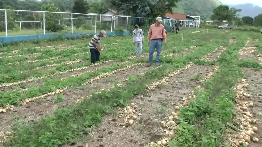 Noticiero MD 08 de marzo del 2017 - Bloque 2