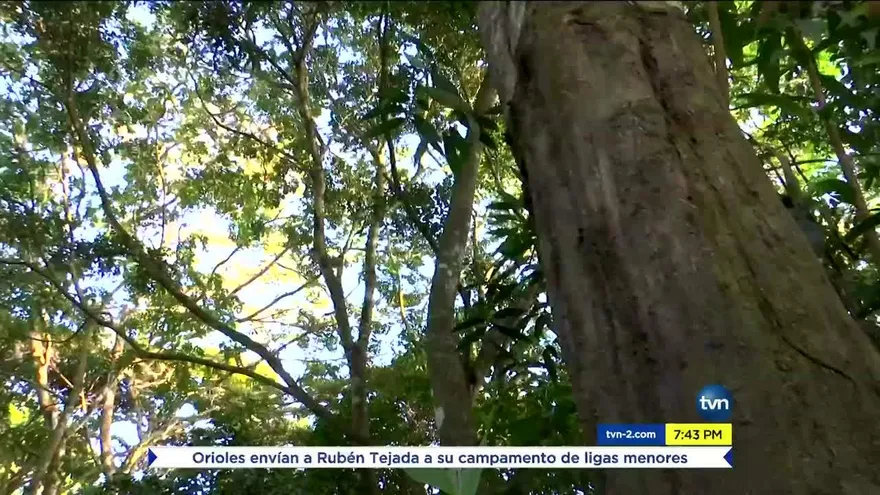 Celebran día mundial de la vida silvestre