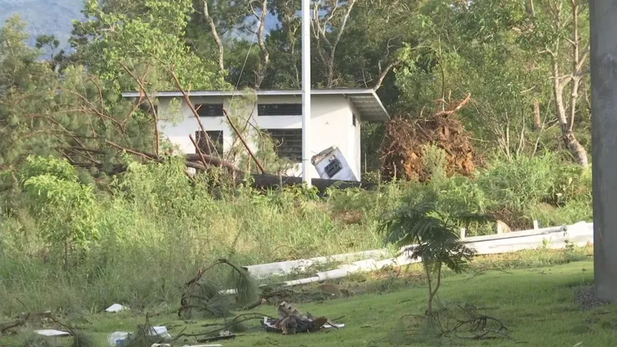 Fuertes vientos causaron desprendimientos de techo y caída de árboles en Alto Boquete