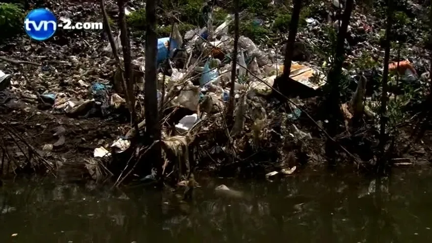 Comisión ratifica a Endara en la Anam