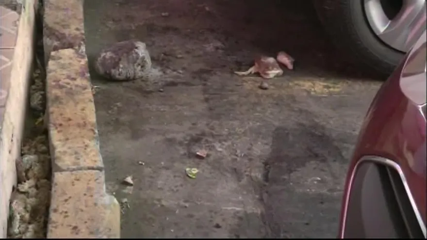 Investigan la muerte de un hombre en Chiriquí