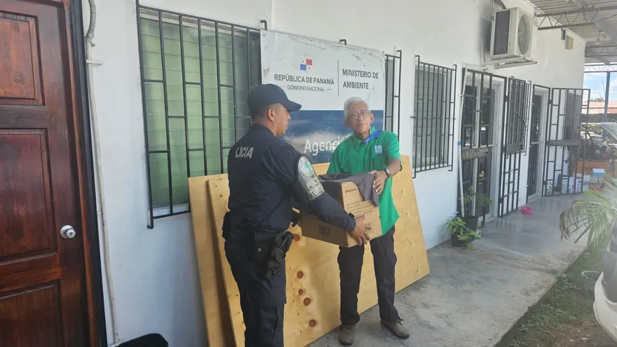 Rescatan a un Caracara herido en Pocrí de Aguadulce