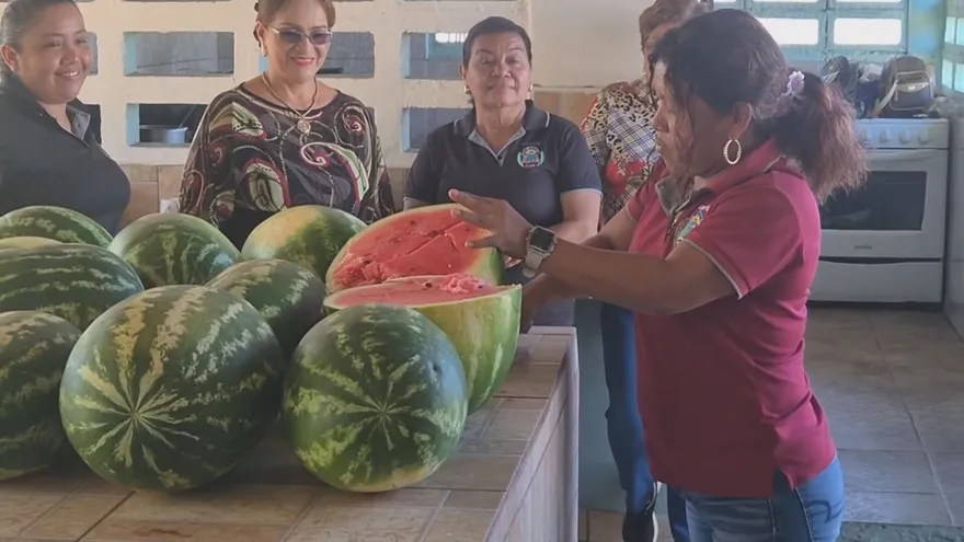 La Escuela José Muñoz es el primer centro primario de Veraguas en implementar el fondo agropecuario.