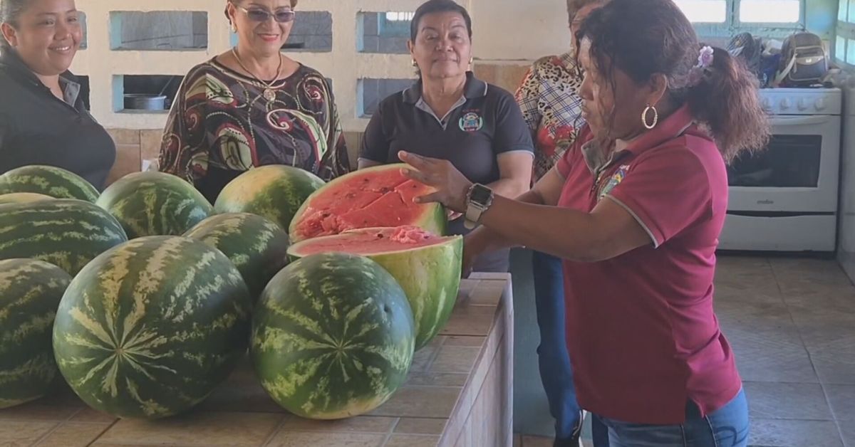 Estudiantes de La Mesa de Veraguas desarrollan un huerto escolar con fondo agropecuario