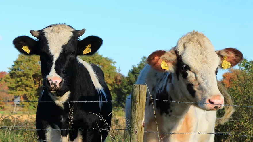 Imagen con fines ilustrativos