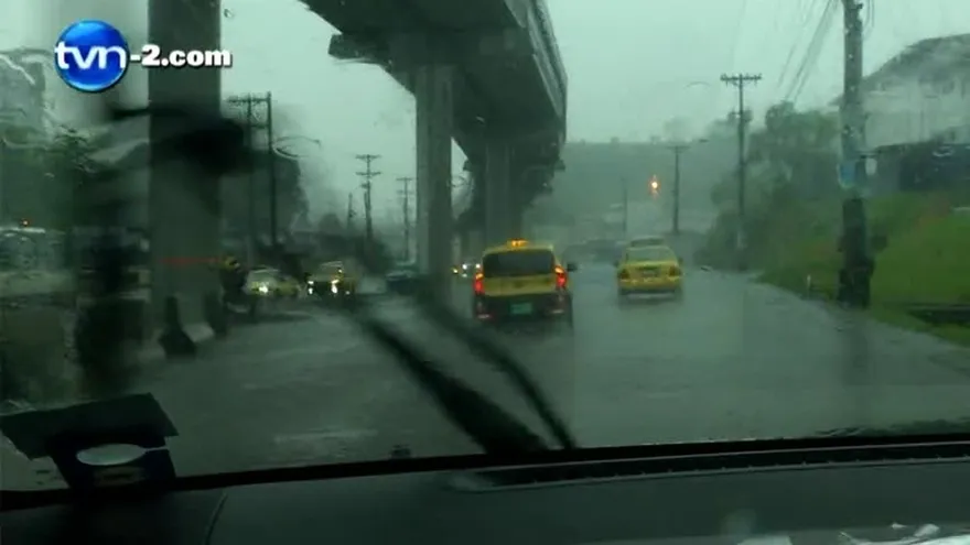 Lluvias acentúan el riesgo de caída de árboles