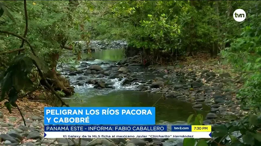 Ríos en Panamá Este se encuentran en peligro