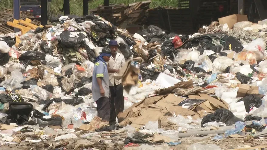 Contaminación y malos olores