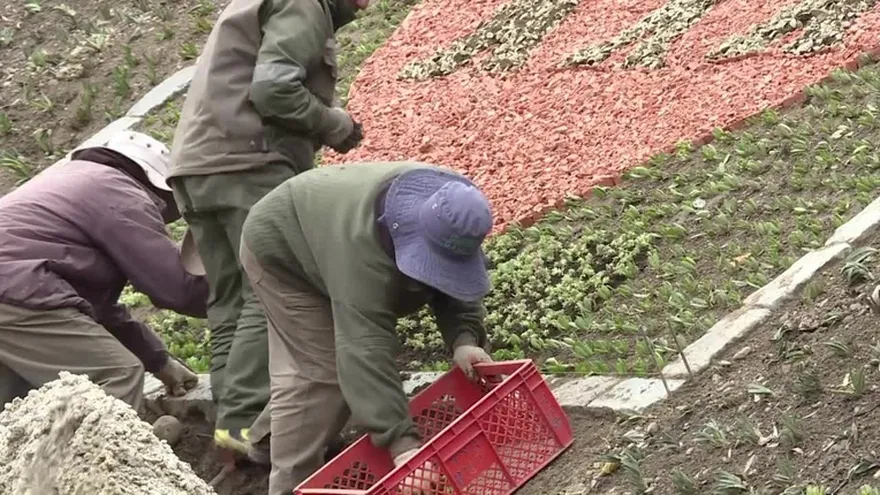El papa honrará a jesuita asesinado