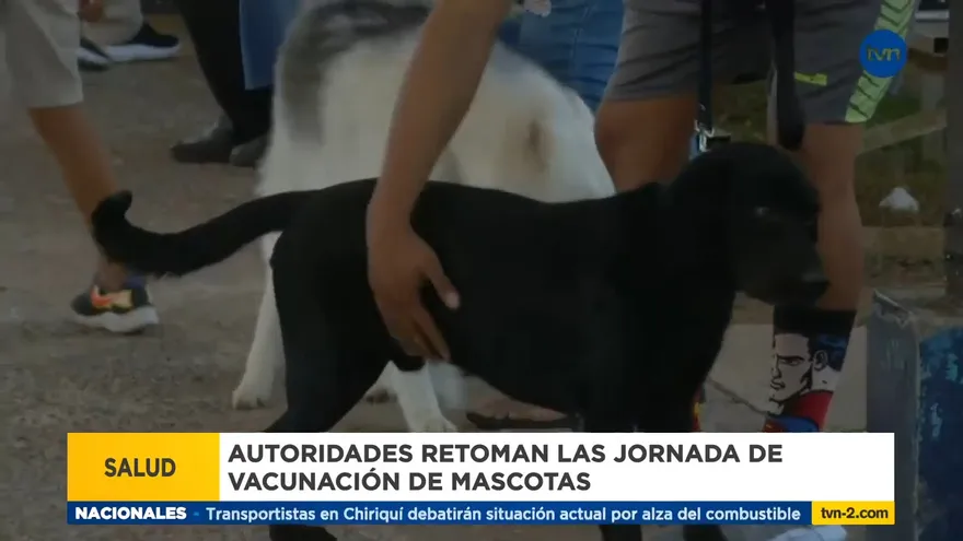 Realizan vacunación de mascotas en Veraguas