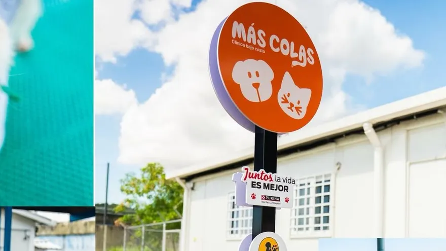 Estos son los servicios que brindan en la clínica veterinaria 'Más Colas' de San Miguelito