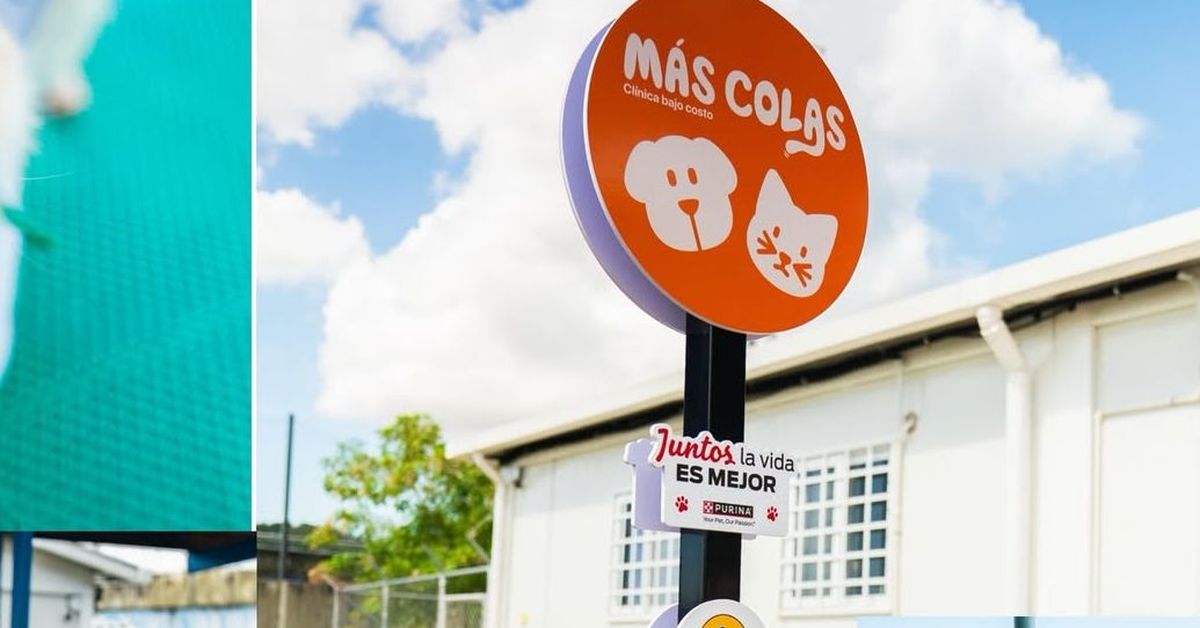 Clínica veterinaria 'Más Colas' en San Miguelito: Le contamos los precios, servicios y horarios