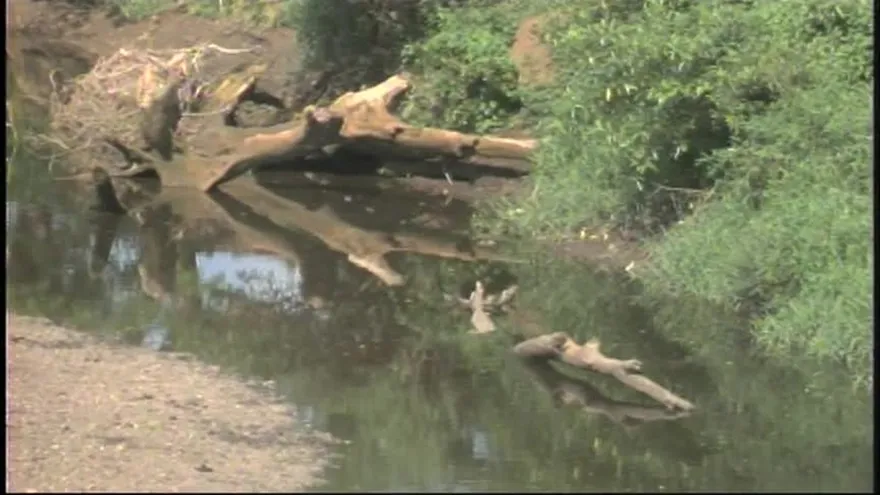 Parita amaneció sin agua