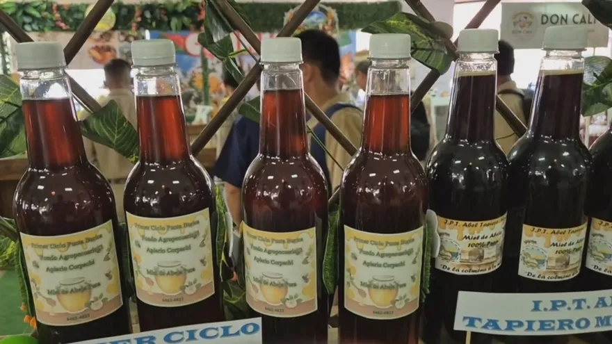 Apicultura panameña crece con fuerza y gana protagonismo en la Feria de David