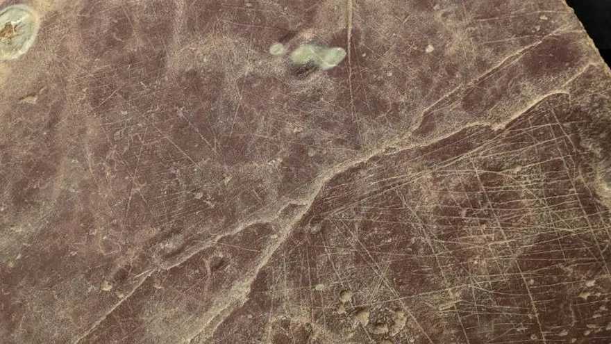 Responsables de la Diputación de Gipuzkoa han presentado hoy en San Sebastián el hallazgo de un posible primer plano urbano de la prehistoria en Euskadi, en el poblado de la Edad del Hierro de Basagain, en Anoeta (Gipuzkoa).