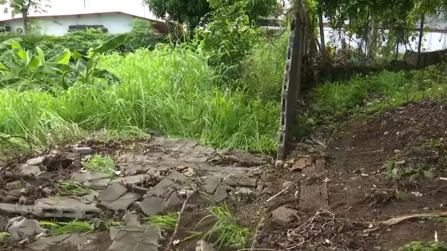 Muro perimetral del Jephta B. Duncan colapsó