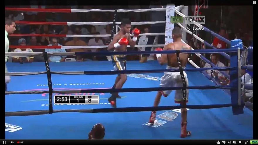 "Kung Fu" Herrera vence a Martínez con poco boxeo