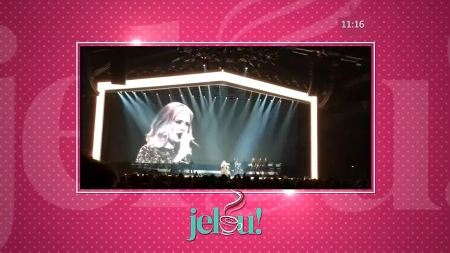 Adele olvidó la letra de su canción en concierto