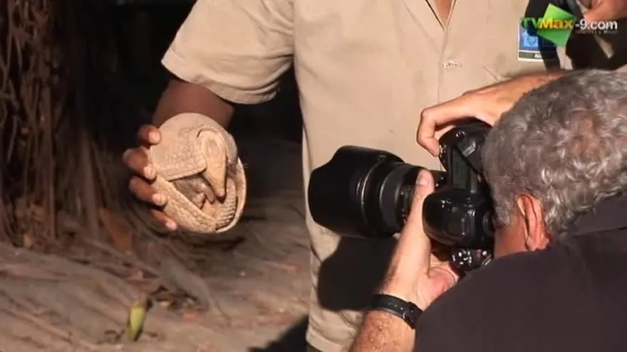 La mascota del Mundial en peligro de extinci