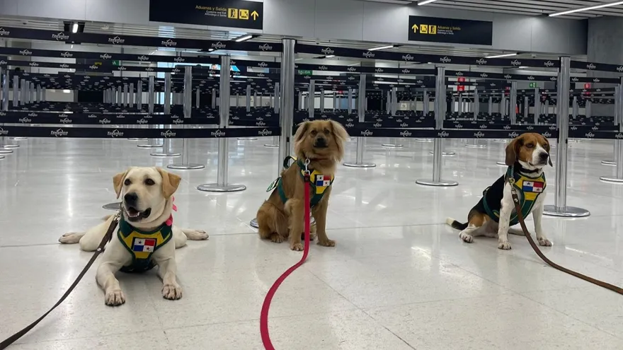 Unidad Canina del MIDA
