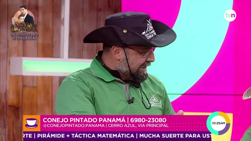 ¡Hoy es el día mundial del conejo!