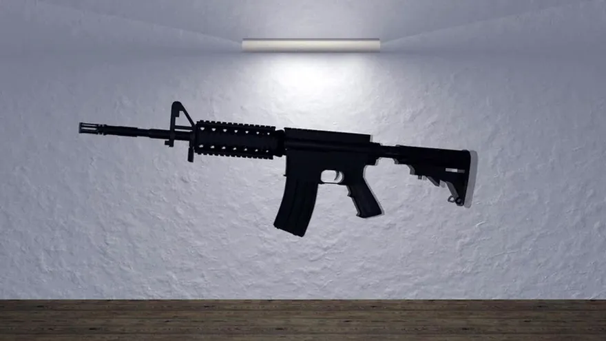 Videografía: Las armas de fuego en EU