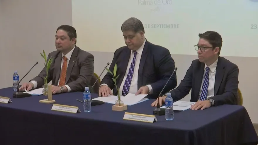 Sector industrial busca reducir impacto de las tarifas eléctricas con prácticas sostenibles y energías renovables