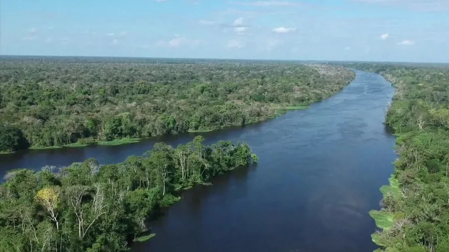 Temores por el futuro de la Amazonía con Bolsonaro en Brasil