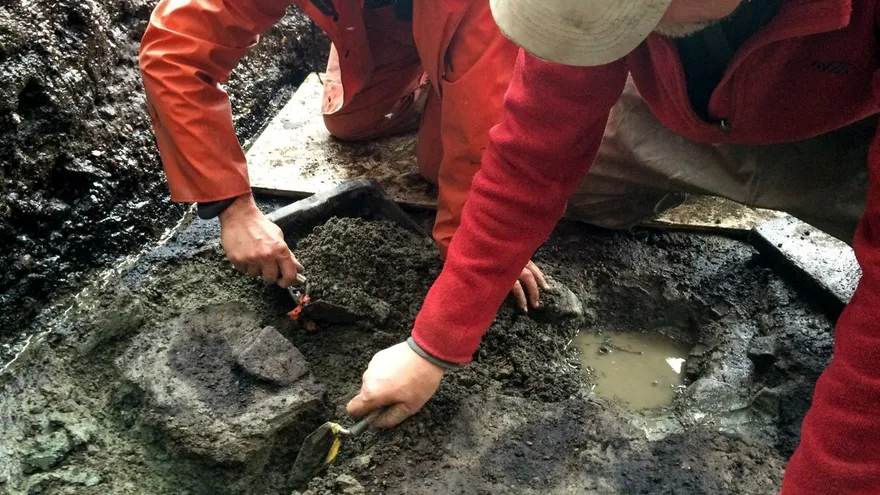 Descubren los rastros humanos más antiguos en América del Norte