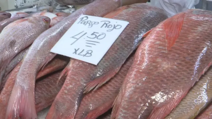 Panameños buscan mariscos para su mesa de fin de año