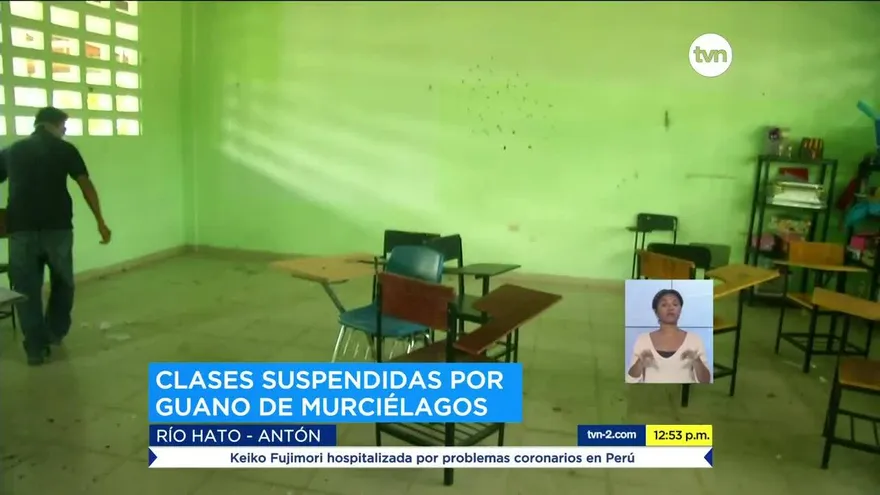 Suspenden clases en una escuela en Río Hato por guano de murciélago