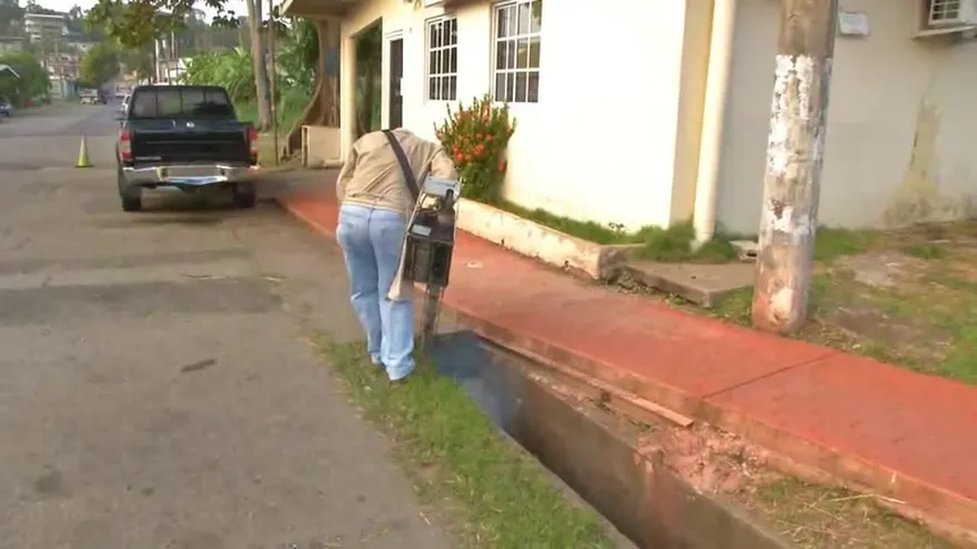 Alerta por casos de dengue en Pacora