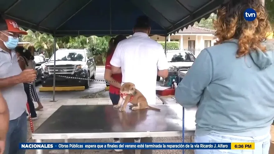 Realizan feria para mascotas en Santiago de Veraguas
