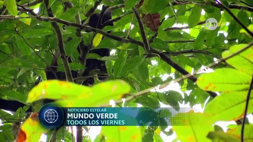 Noticiero Estelar 10 de enero de 2018 - Bloque 4